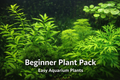 Beginner Plants Pack